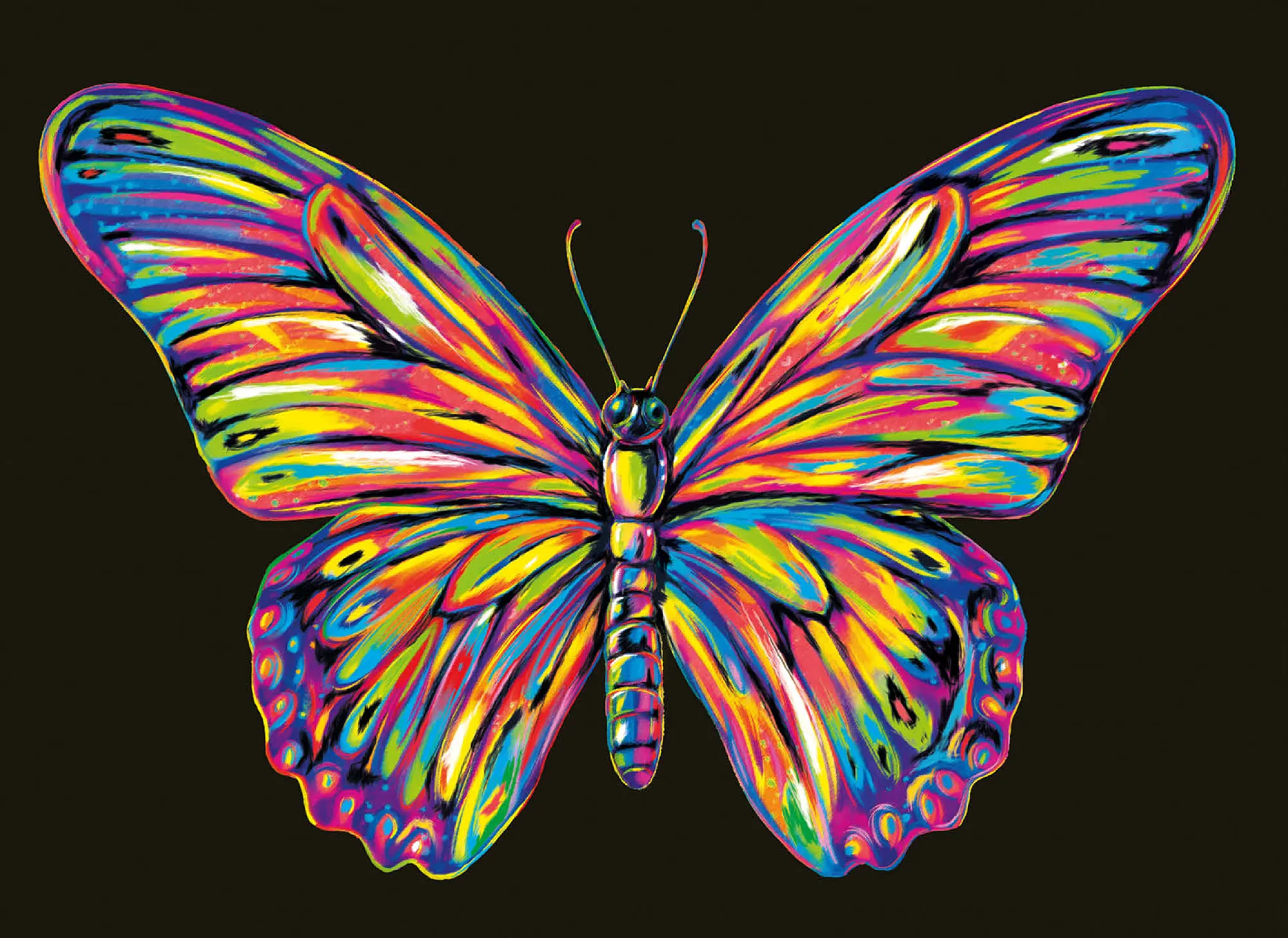 Colorful Butterfly